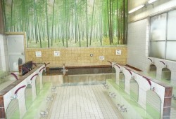 四ツ谷駅に近い銭湯 サウナ7選 昭和レトロな老舗や深夜営業の施設も Shiori