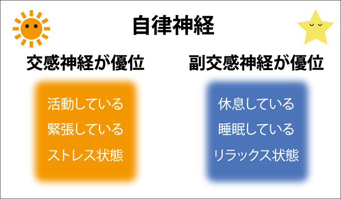 大きな浴槽が健康維持のカナメ 自律神経 を鍛える 公式 東京銭湯 東京都浴場組合