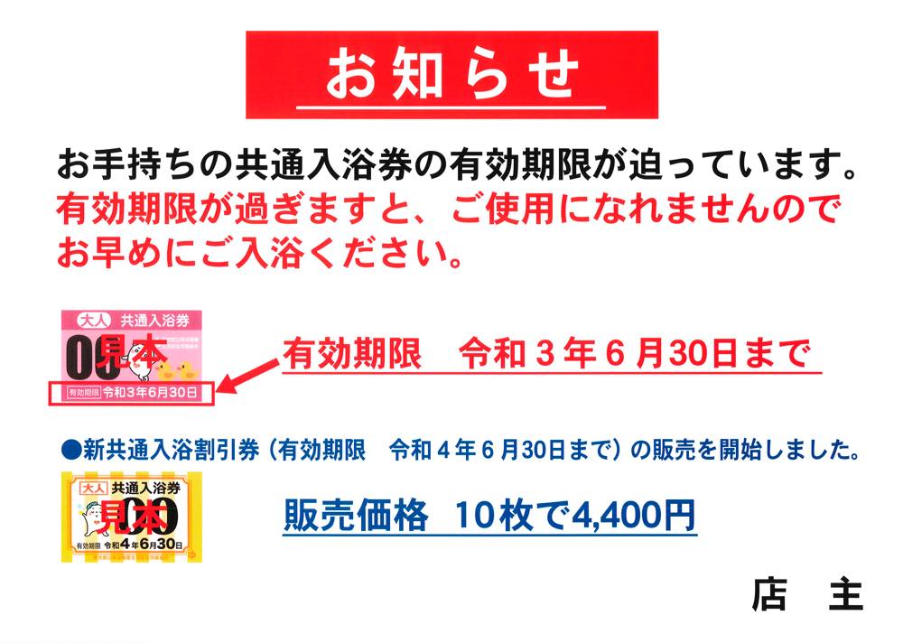 東京都共通入浴券*大人*10枚*2020年6月30日まで